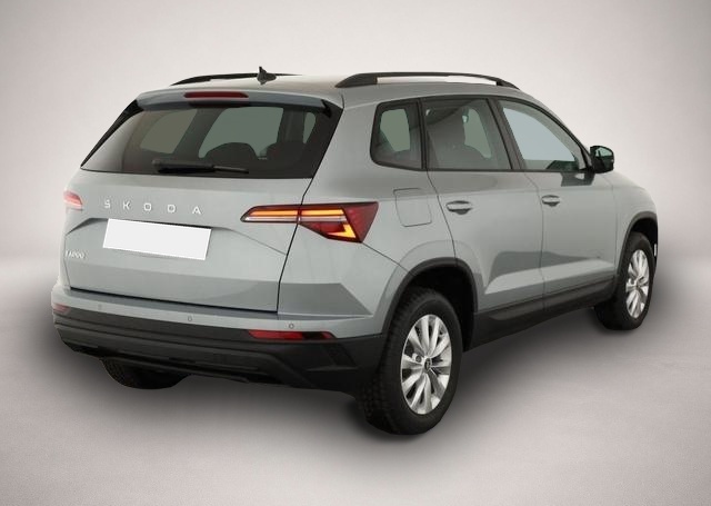 Bild Karoq Skoda