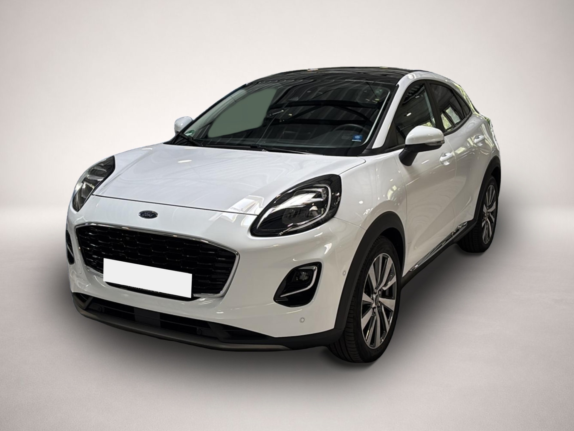Bild Puma Ford