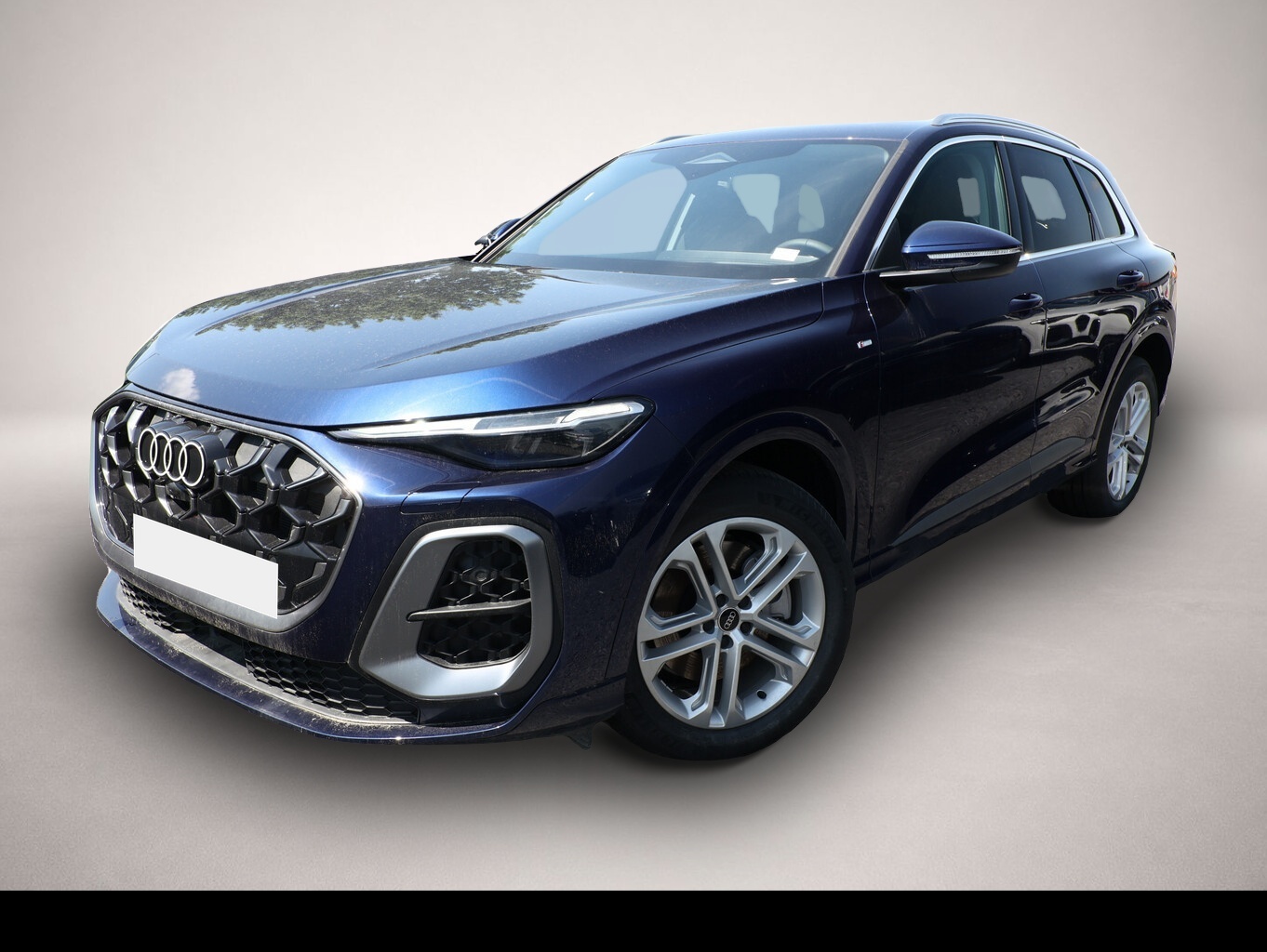 Bild Q5 Audi