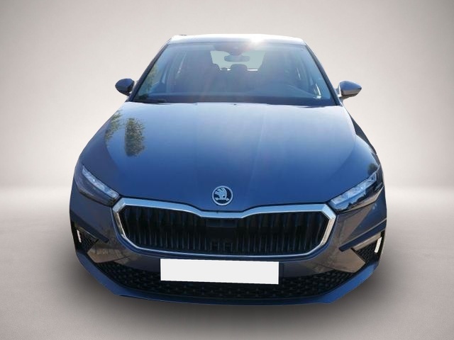 Bild Scala Skoda