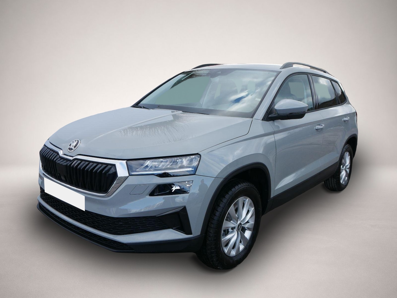 Bild Karoq Skoda