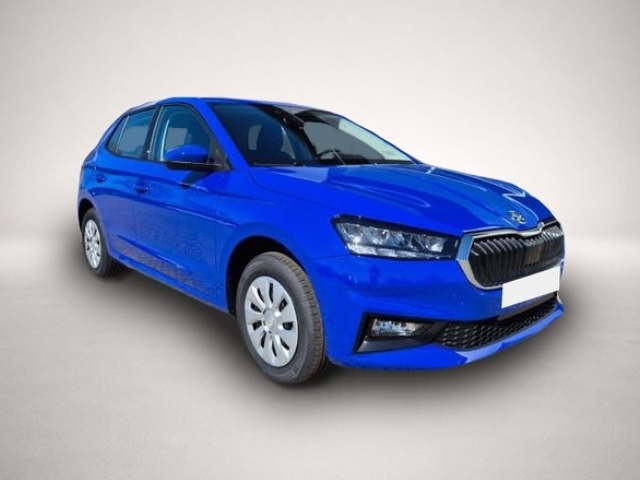 Bild 6 Skoda Fabia 1.0 TSI 95PS Selection 5-türig Rückf.Kam.