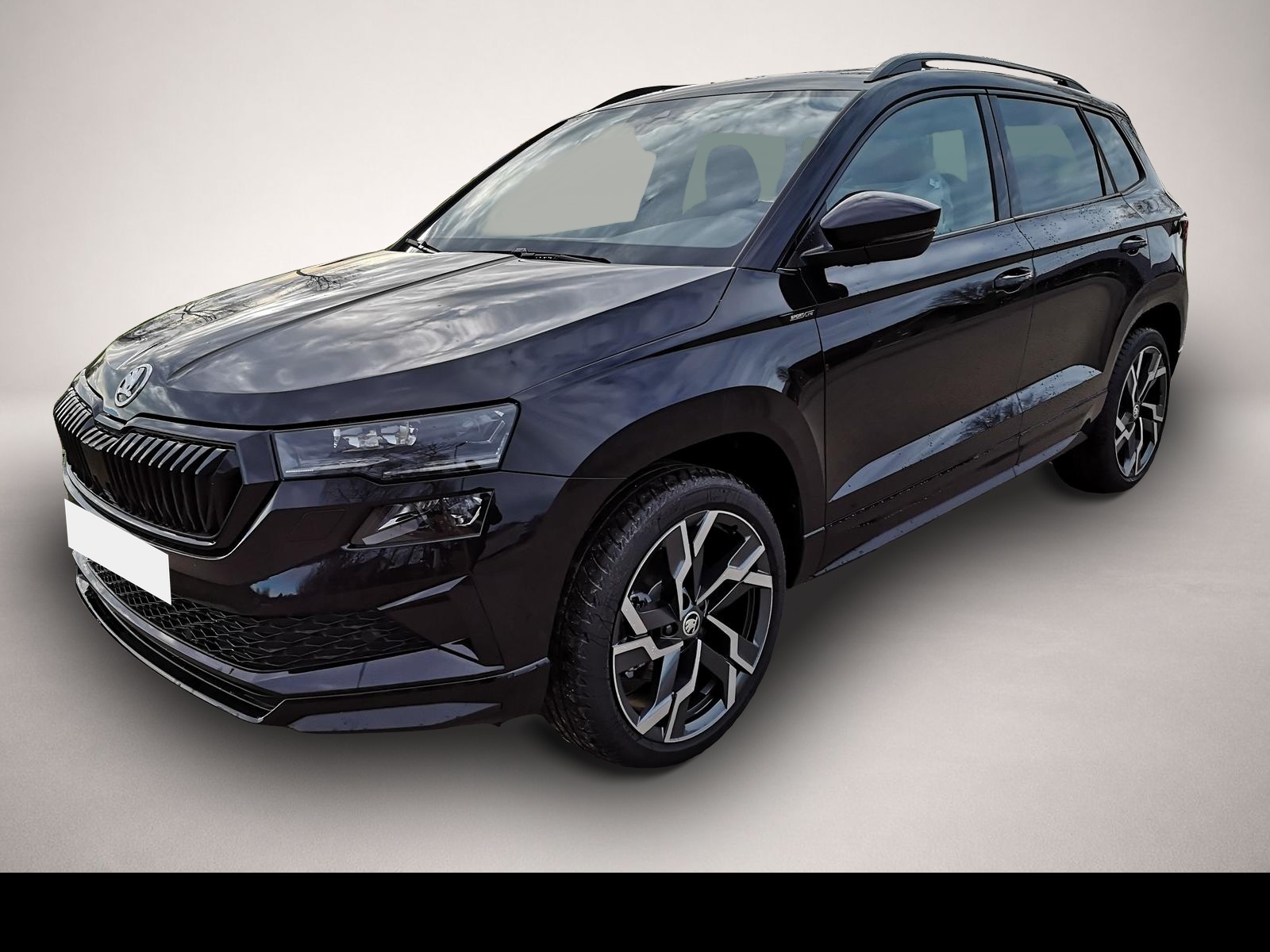 Bild Karoq Skoda