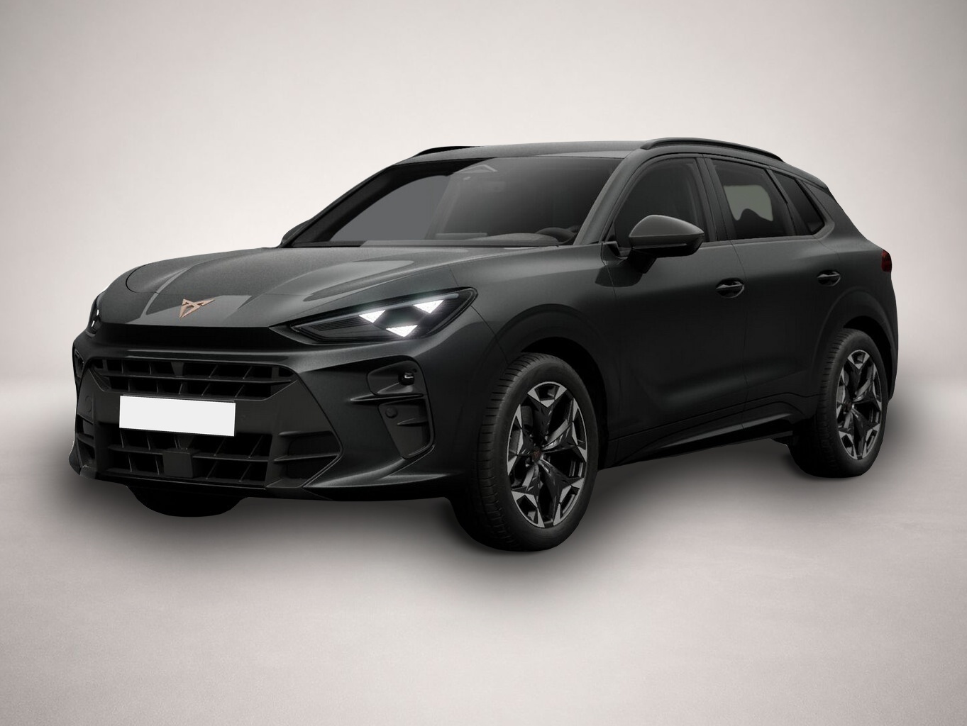 Fotografie Cupra Terramar VZ 4D AHK eHk Kam SHZ ACC 3ZClim 19