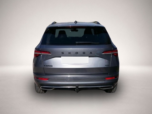 Bild Karoq Skoda