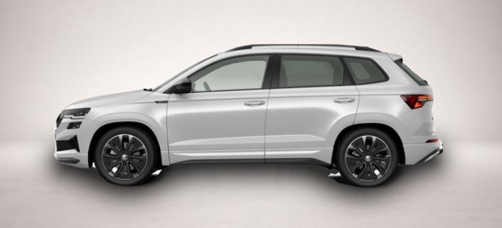Bild 2 Skoda Karoq 2.0 TSI 7-Gang-DSG 4x4