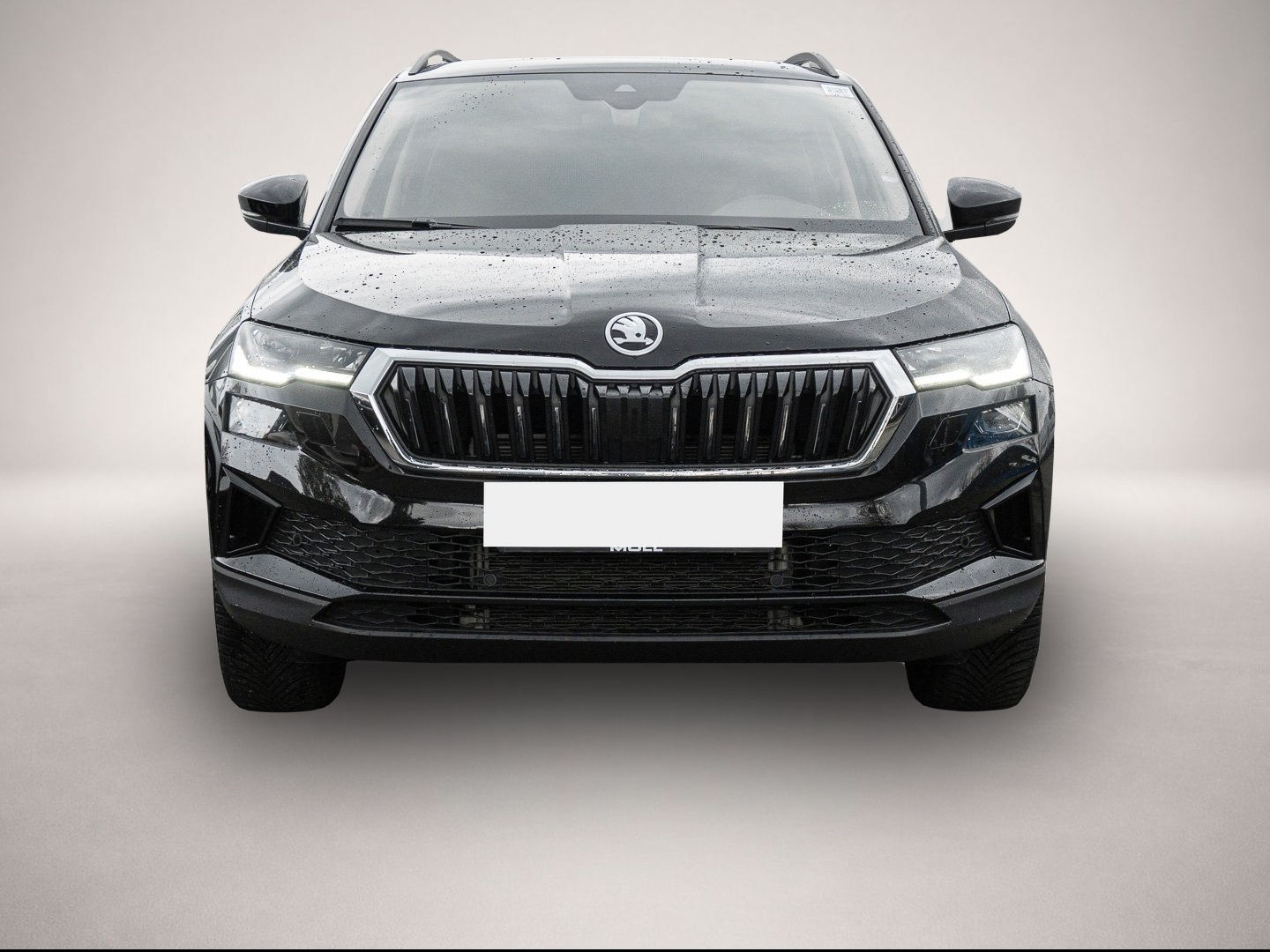 Fotografie 2 des Skoda Karoq 2.0 TDI DSG SelectionTour