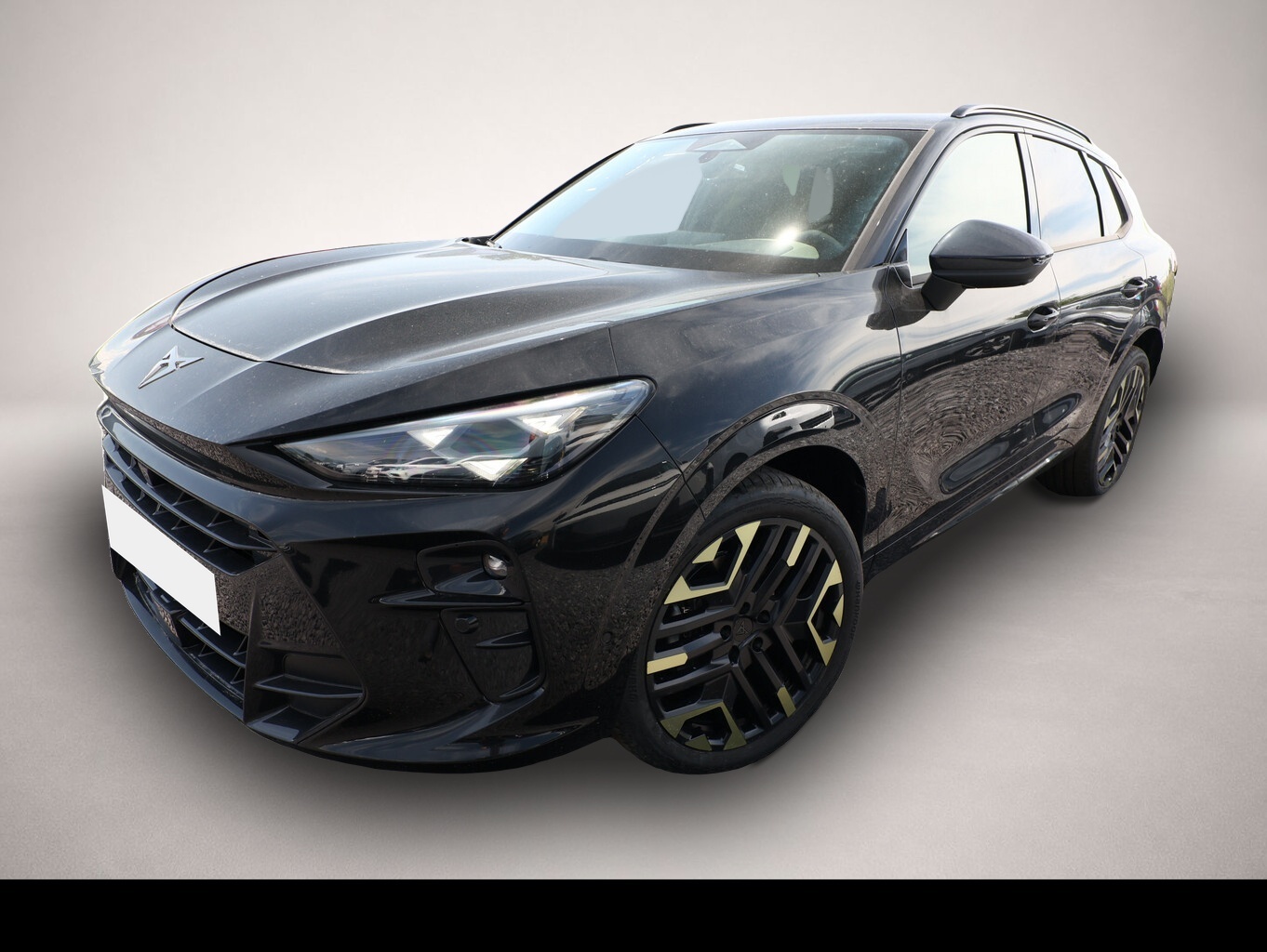 Bild Terramar Cupra