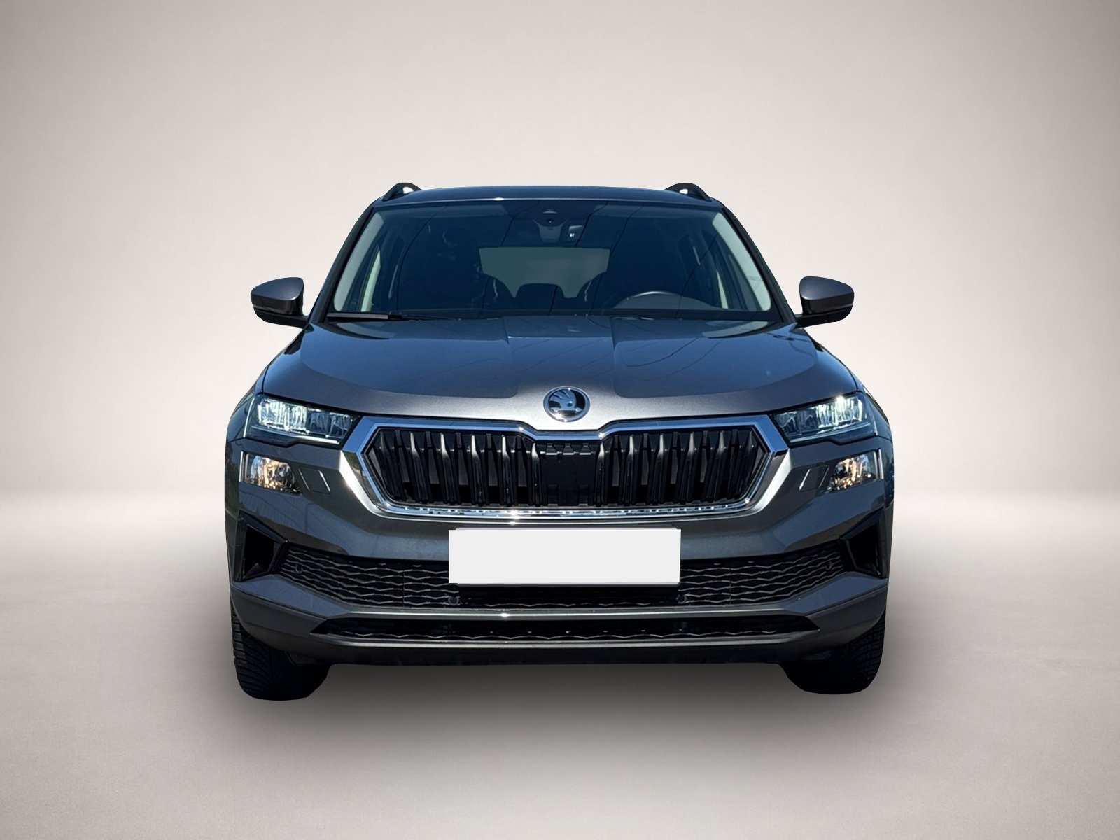 Bild 2 Skoda Karoq Selection 4x4 TDI DSG|ACC|NAVI|KAMERA|