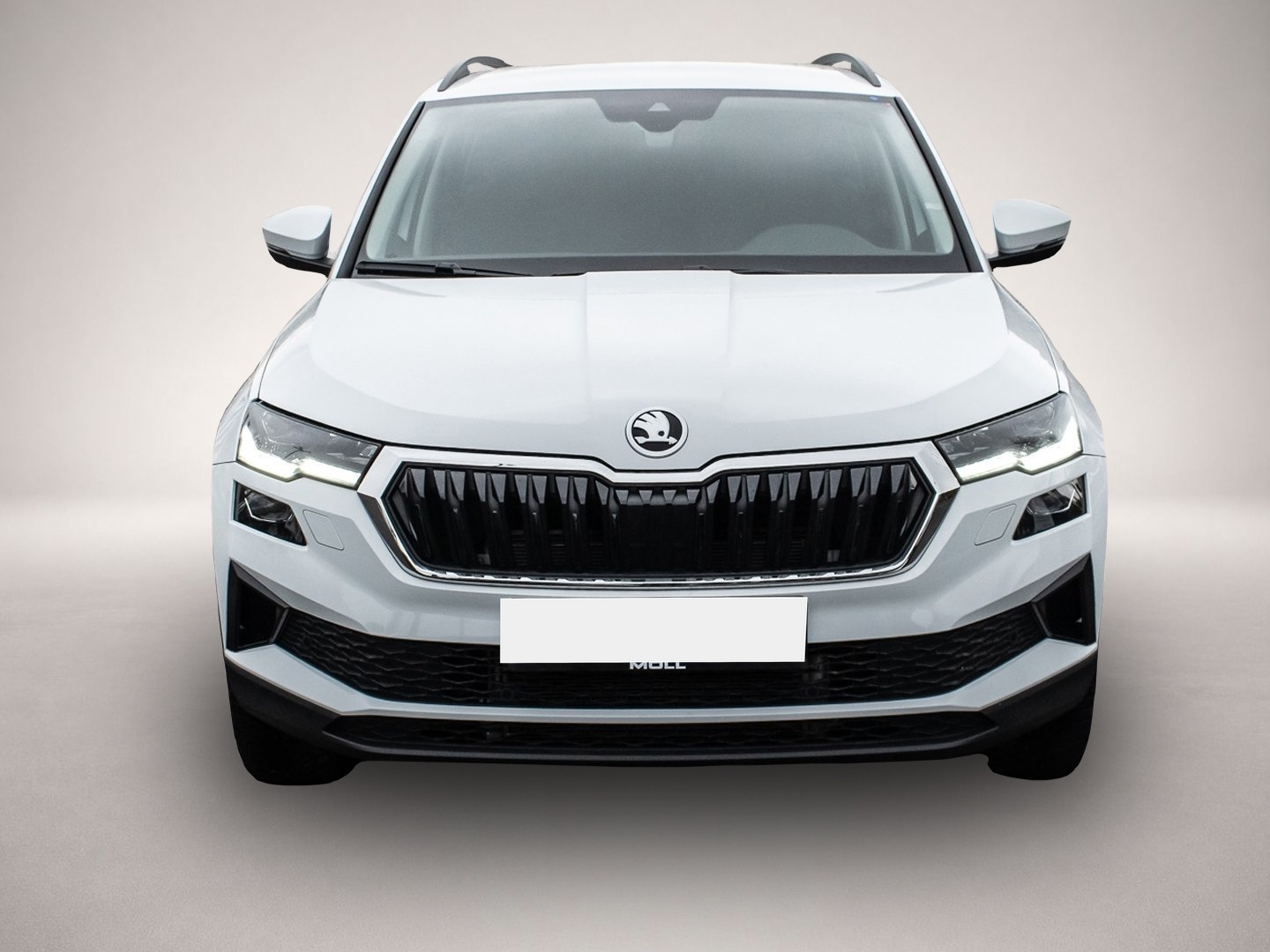 Bild 2 Skoda Karoq 2.0 TDI DSG SelectionTour
