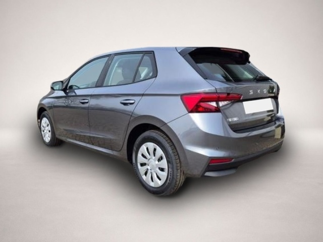 Fotografie 2 des Skoda Fabia 1.0 TSI 95PS Selection 5-türig Rückf.Kam.
