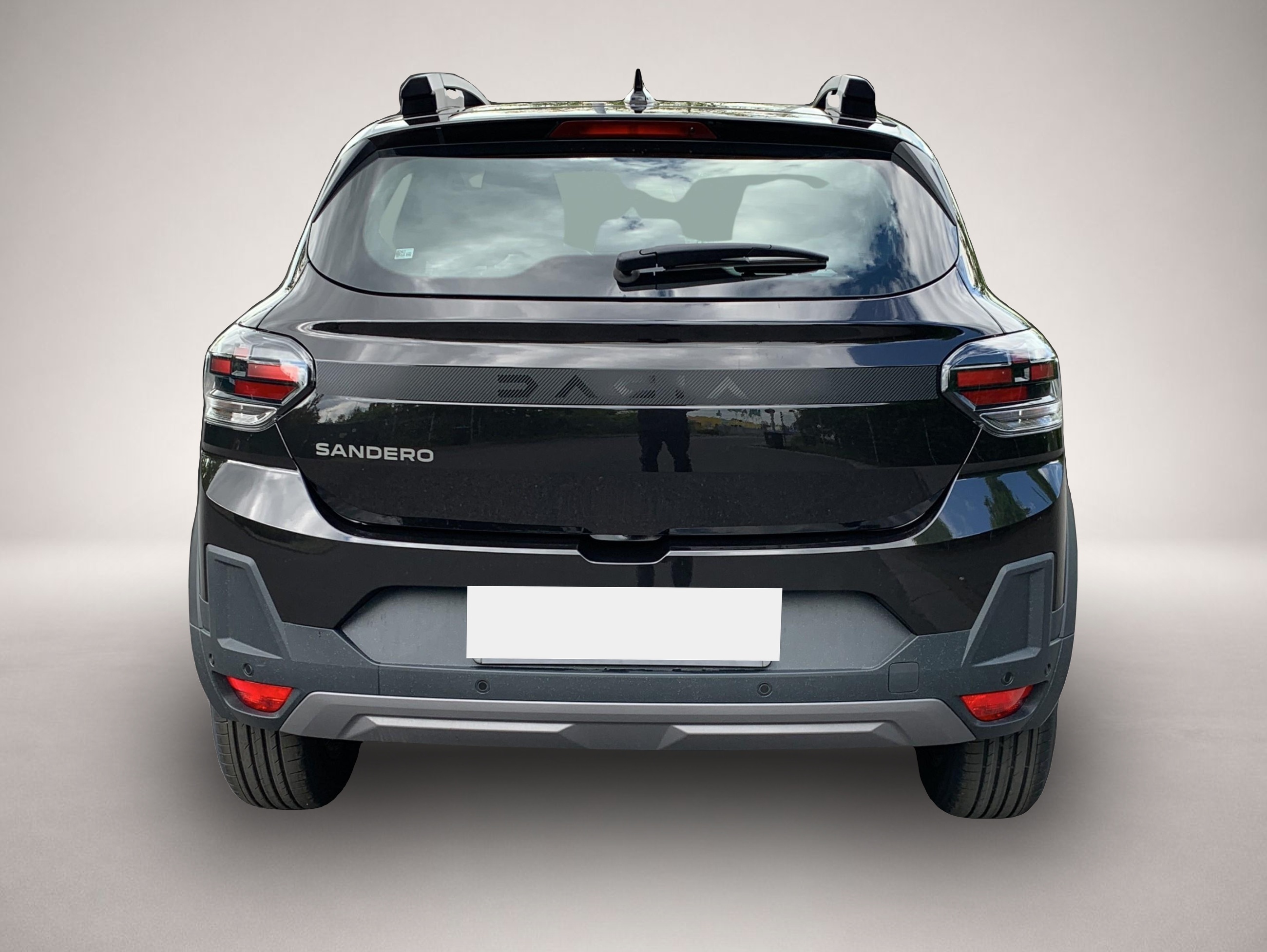 Fotografie 4 des Dacia Sandero Stepway Extreme TCe 110 / Winter / 360°