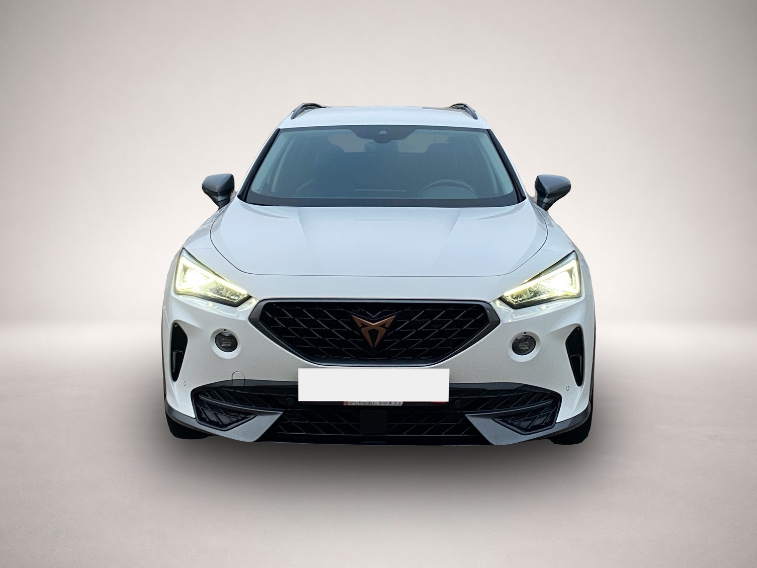 Bild 2 Cupra Formentor 1.5 TSI DSG LED PDC ACC FULL LINK