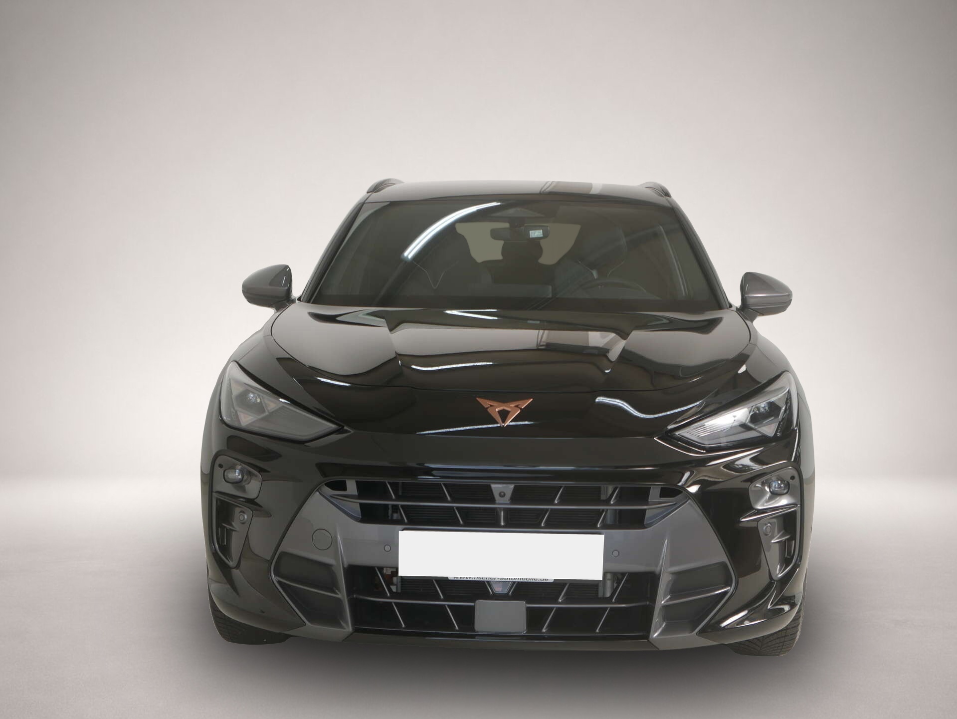 Bild 2 Cupra Terramar 1.5 e-Hybrid