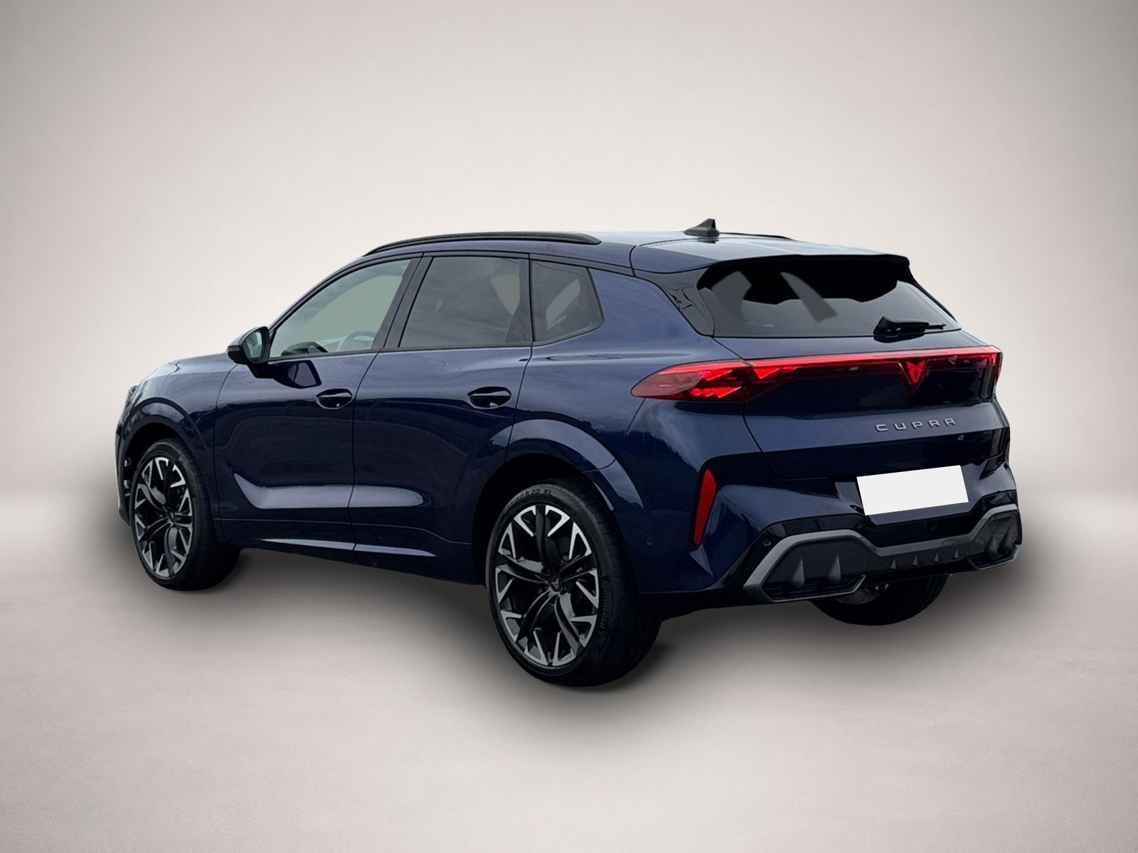 Bild 4 Cupra Terramar VZ 4Drive TSI DSG|AHK|PANO|5-J-GARANTIE