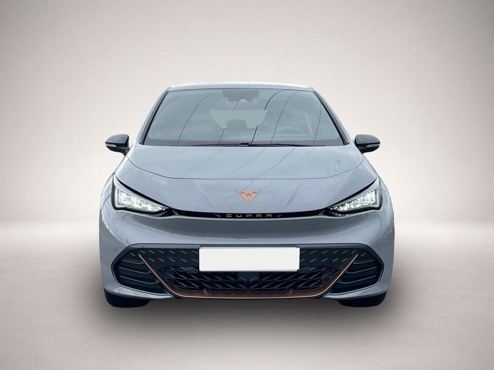 Bild 2 Cupra Other Born|19