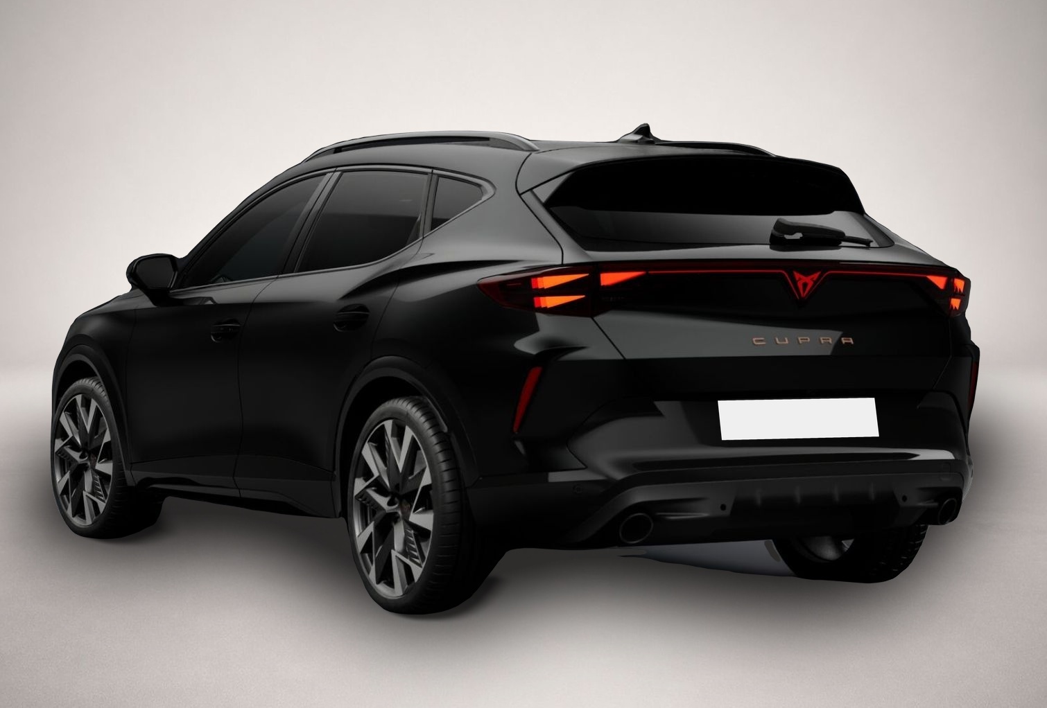 Fotografie 2 des Cupra Formentor 2.0 TSI