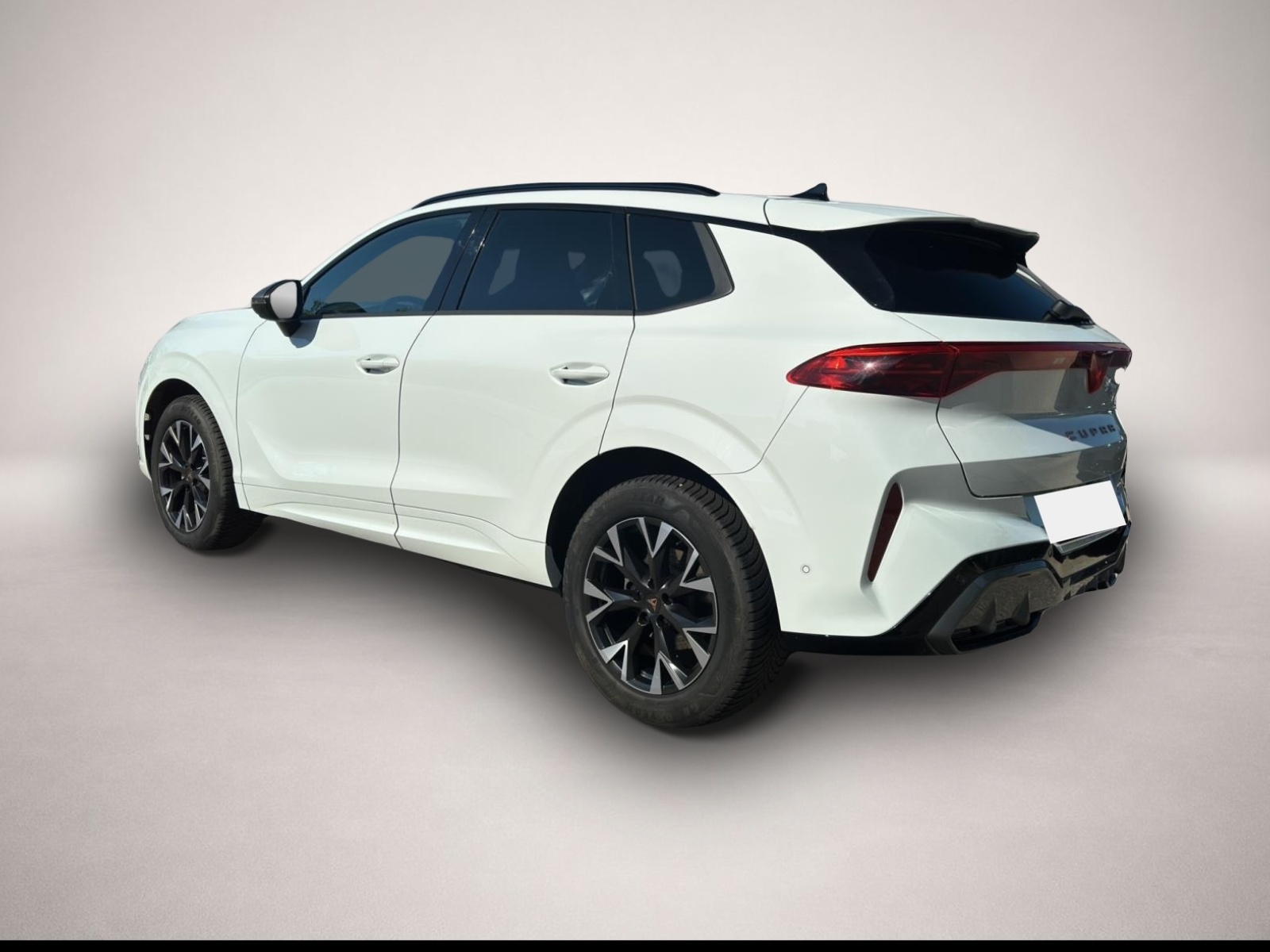 Fotografie 4 des Cupra Terramar 1.5 eTSI DSG AB351EUR ALCANTARA 360 HuD