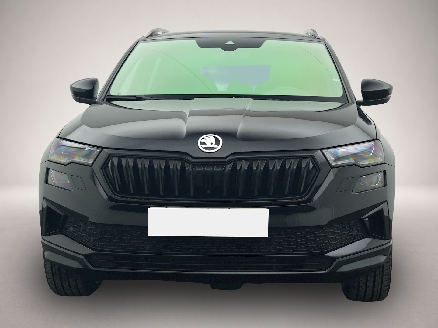 Bild 8 Skoda Karoq 2.0 TDI DSG 4x4 Sportline LEDER eHECK 360