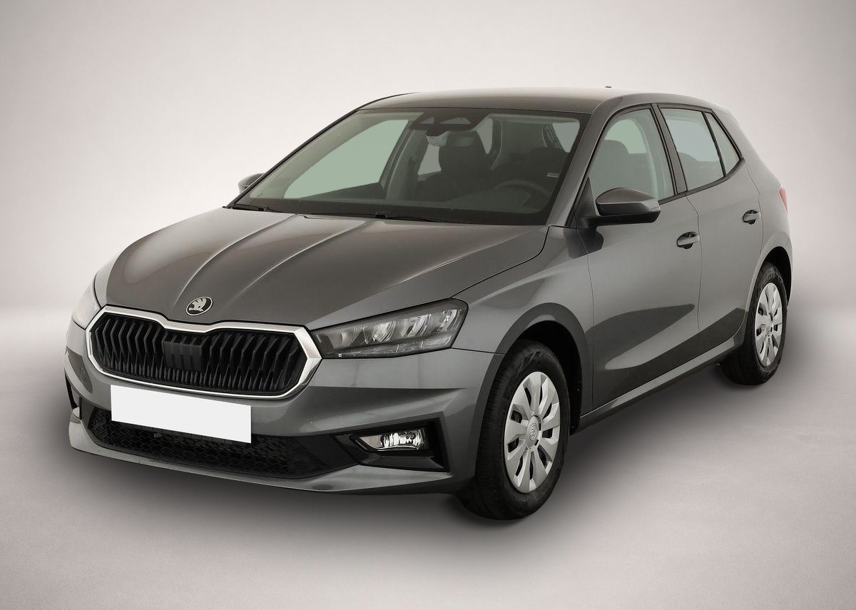 Fotografie Skoda Fabia 1.0 TSI Selection, Park, Winterpaket, Smar