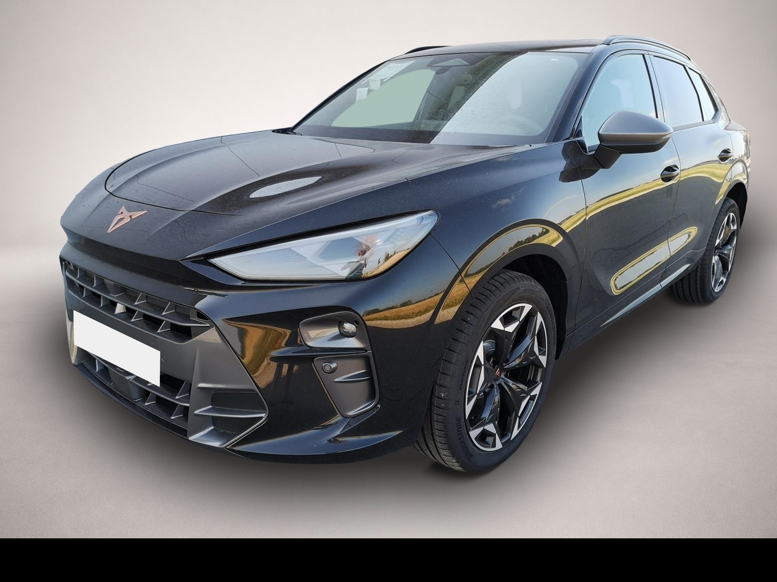 Fotografie Cupra Terramar 2.0TSI 4Drive ABT AHK ACC el. Hk Pano