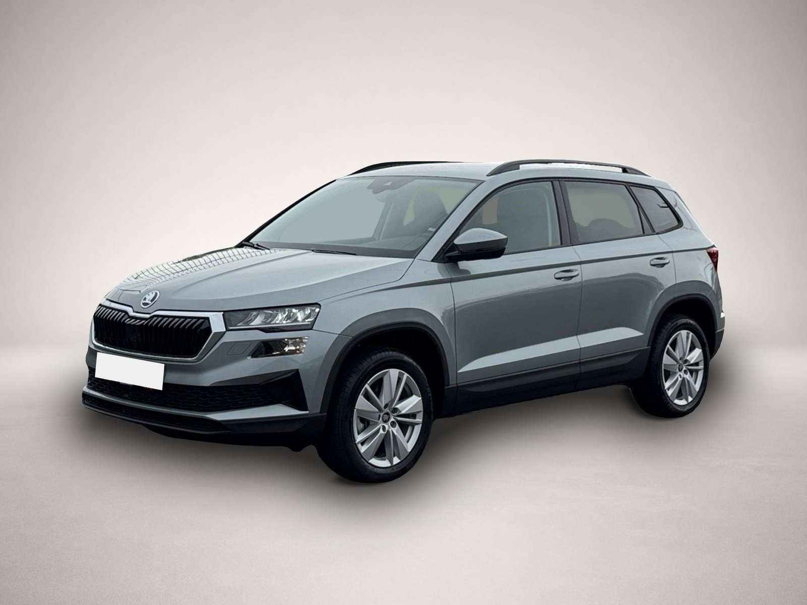 Bild Karoq Skoda