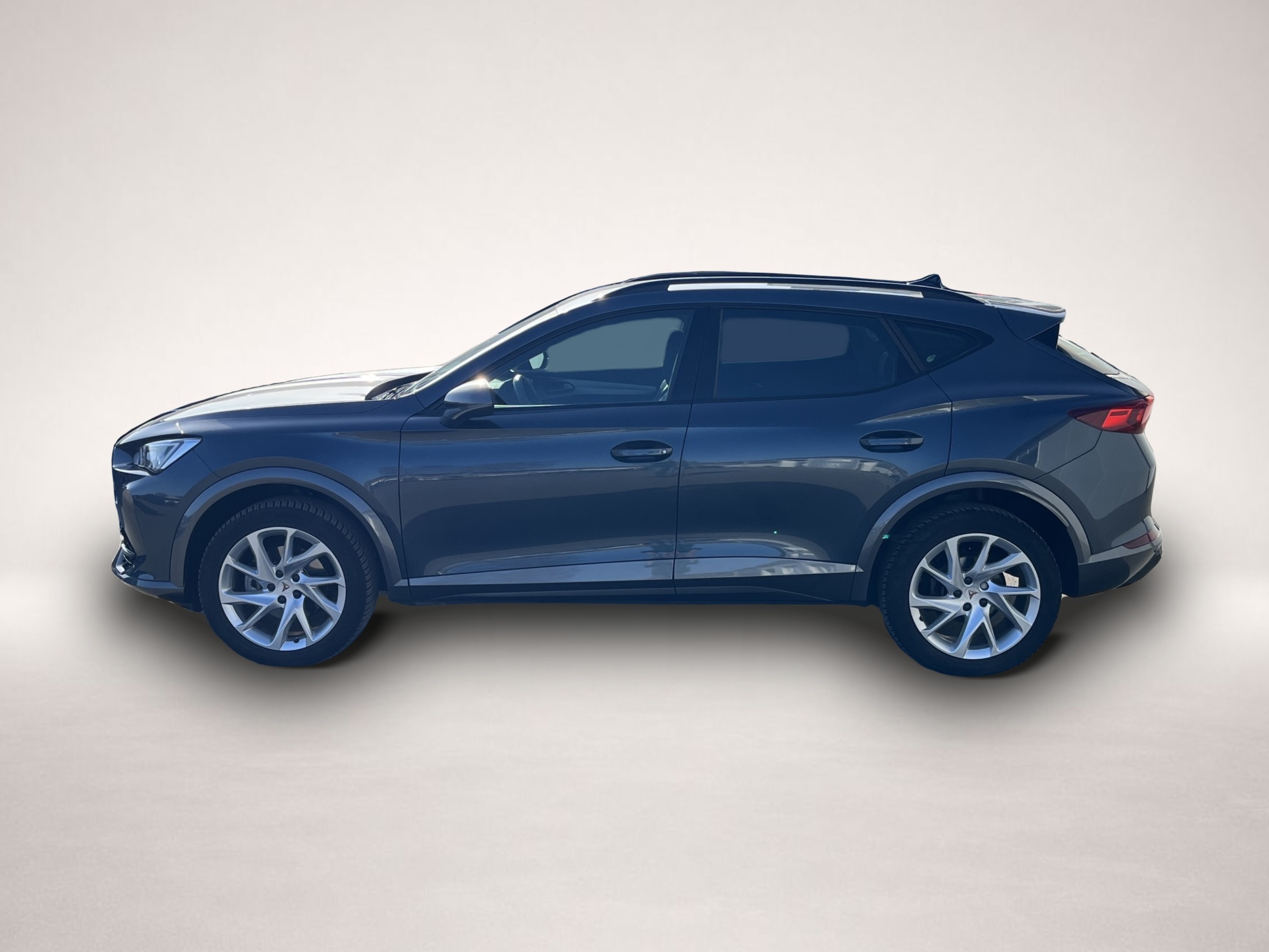 Fotografie Cupra Formentor 2.0 TDI DSG 4Drive 181¤ m.20% Anz. el.