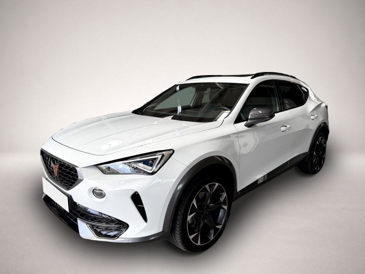 Fotografie Cupra Formentor 1.5 TSI DSG LED ACC Pano R.Cam