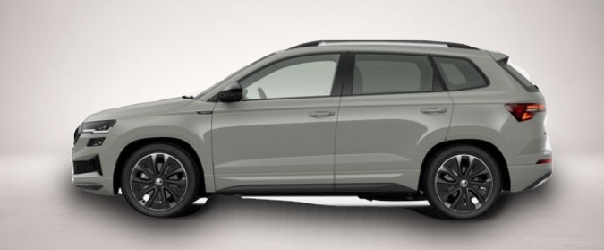 Bild 2 Skoda Karoq 2.0 TSI 7-Gang-DSG 4x4