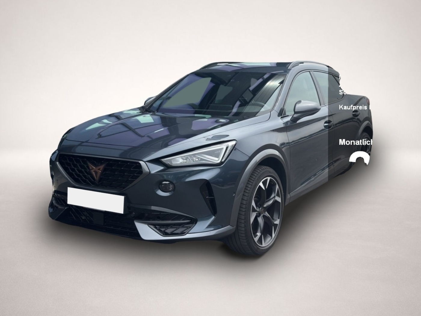 Fotografie Cupra Formentor 2.0 TSI DSG VZ LED NAVI ACC SIDEASS KE