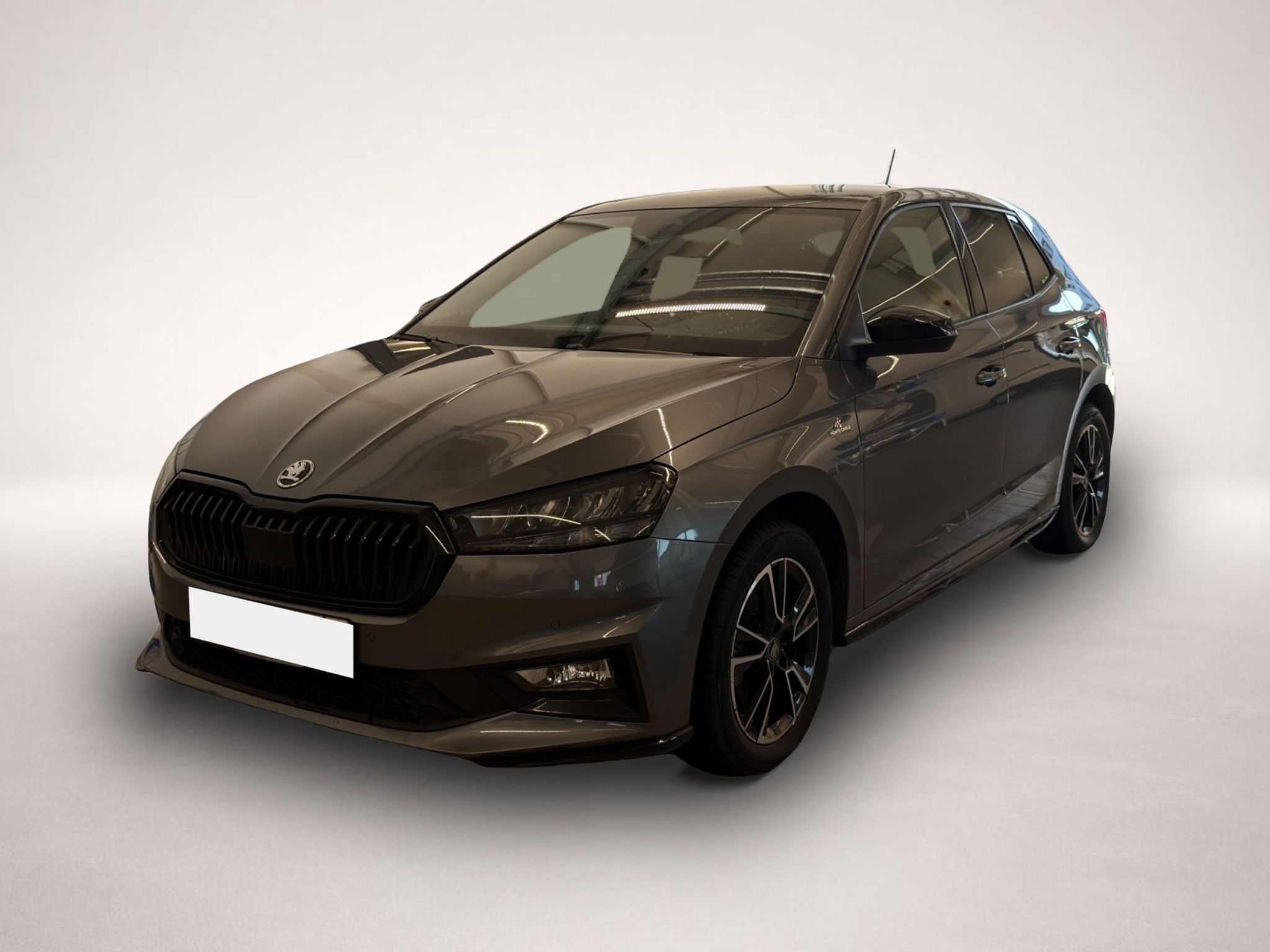 Bild Fabia Skoda