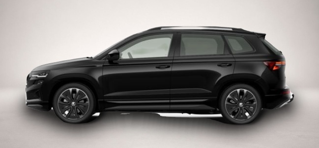Bild 2 Skoda Karoq 2.0 TSI 7-Gang-DSG 4x4