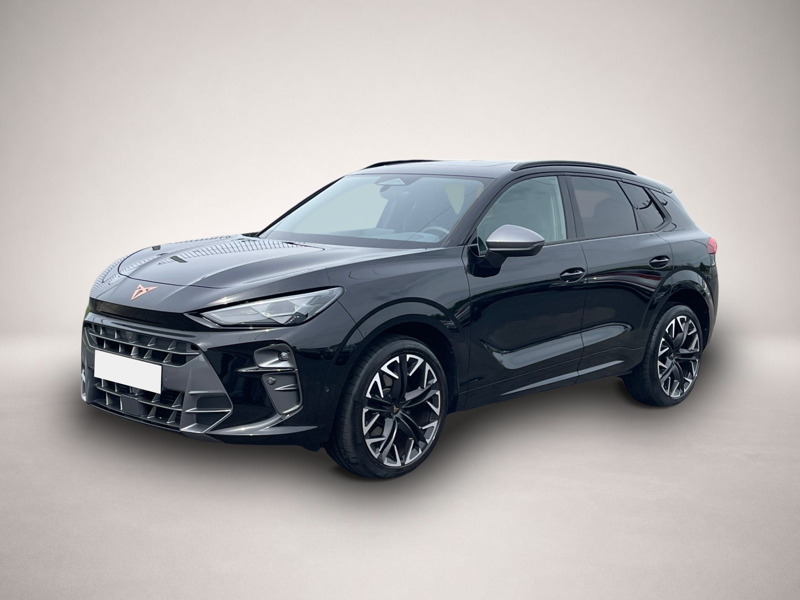 Bild Terramar Cupra