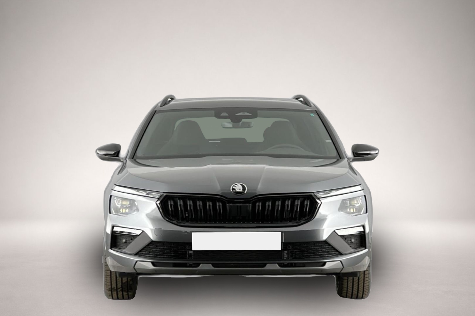 Fotografie 2 des Skoda Kamiq Dynamic 1,0 TSI DSG