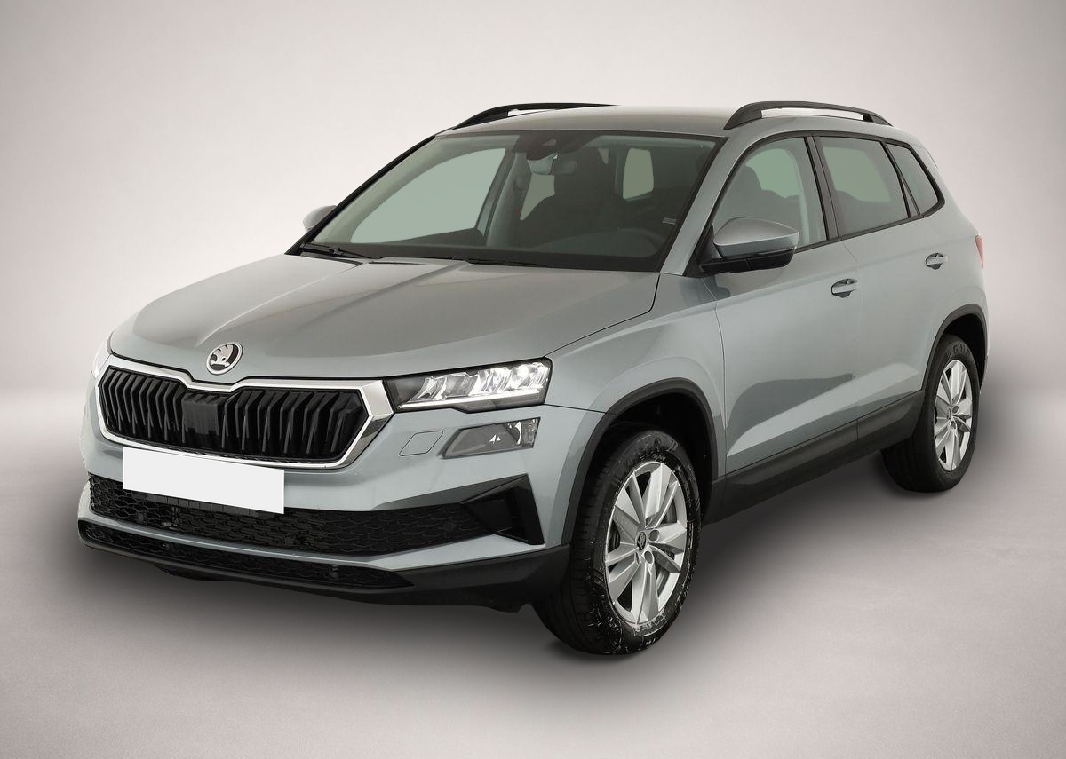 Bild Karoq Skoda