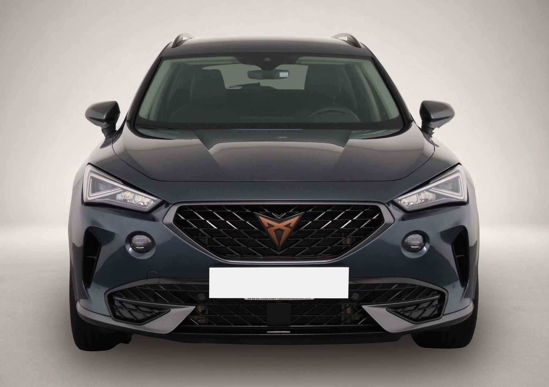 Bild 2 Cupra Formentor 1.4 e-Hybrid