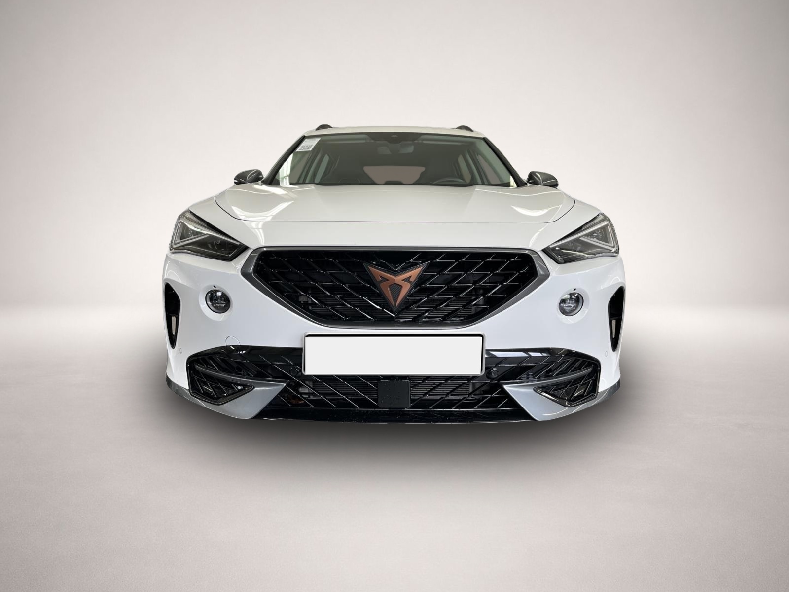 Fotografie des Cupra Formentor 1.5 eTSI DSG AB297EUR AHK MATRIX REAR