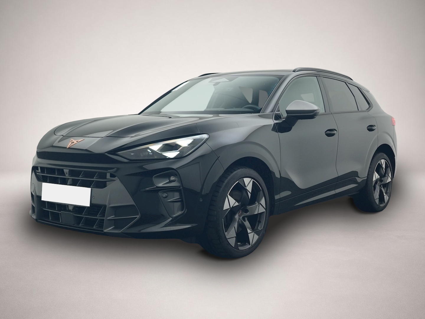 Bild 1 Cupra Terramar 2.0 TSI DSG 4Dr. VZ 5.-J.-GAR PANO AHK