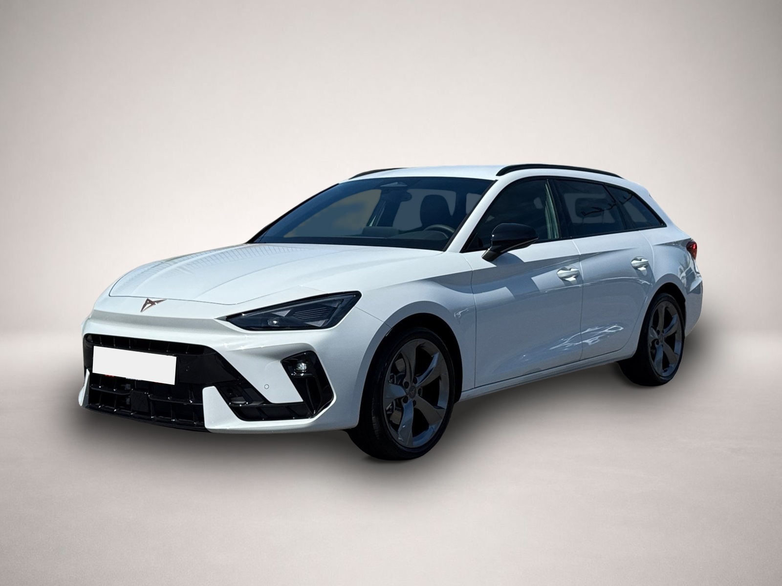 Bild Leon Cupra