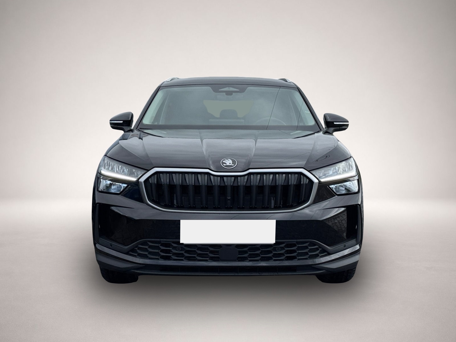 Bild Kodiaq Skoda