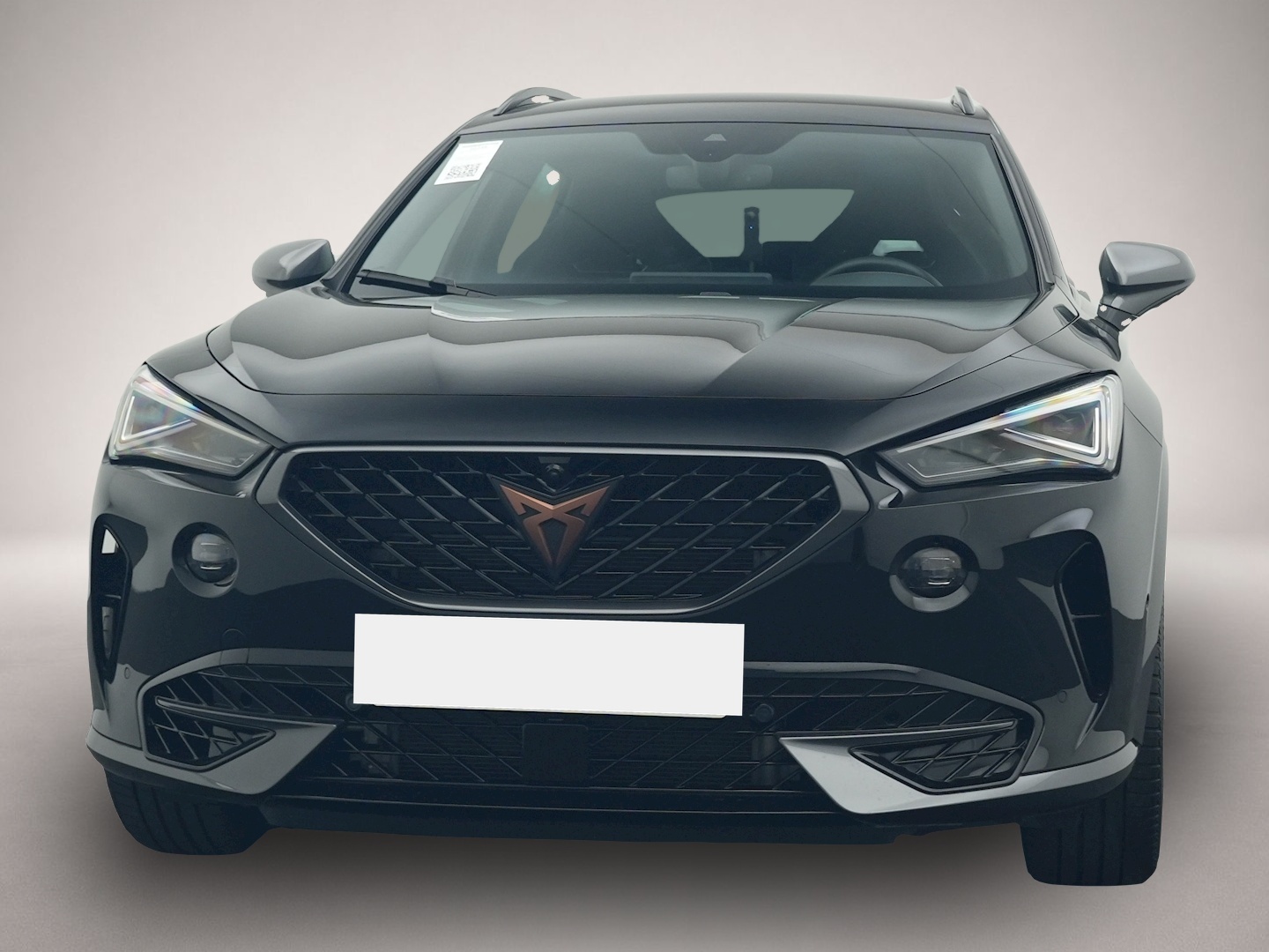 Bild 8 Cupra Formentor 2.0 TSI DSG 4Dr. VZ AHK DCC 360-KAM