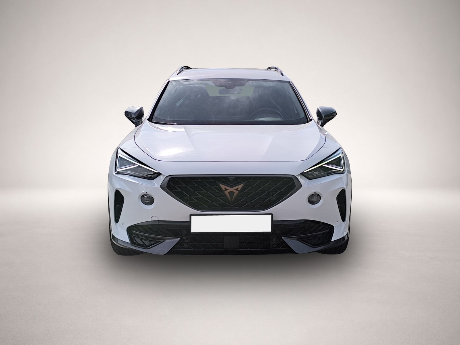 Bild 2 Cupra Formentor 1.4 eHybrid DSG NAVI PARK-ASSIST RFK