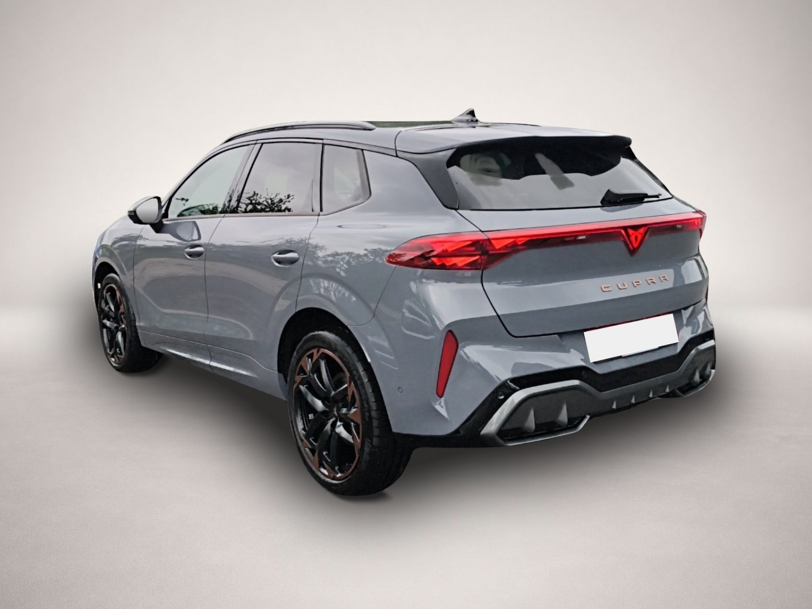 Fotografie 5 des Cupra Terramar 2.0 TSI DSG 4Drive VZ 5-J-G HEAD UP PAN