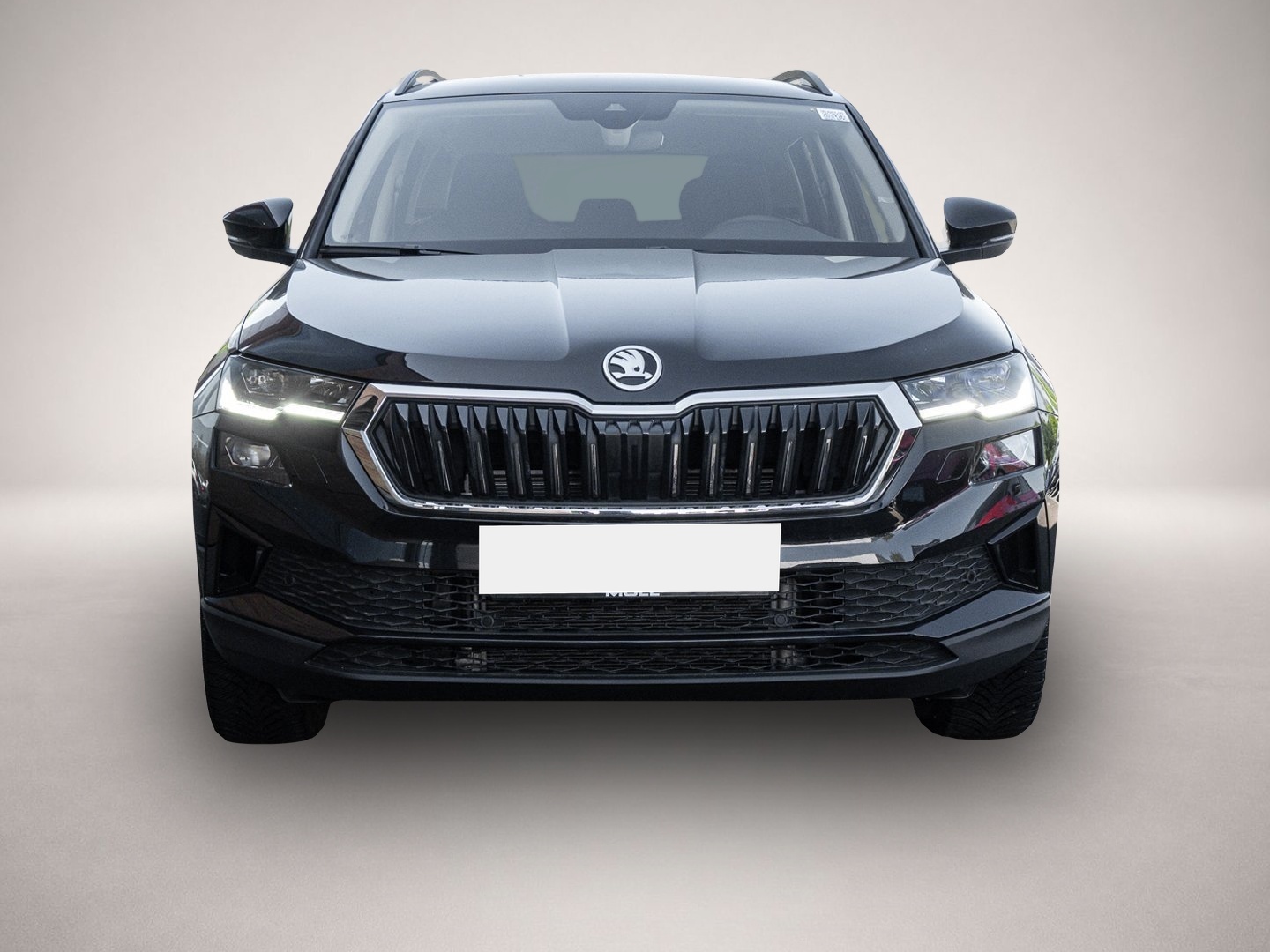 Bild 2 Skoda Karoq 2.0 TDI DSG Selection Tour 2.0 TDI