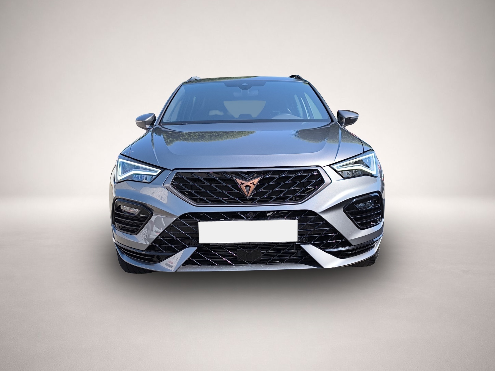 Fotografie 2 des Cupra Ateca 2.0 TSI DSG 4Drive VZ LED NAVI ACC