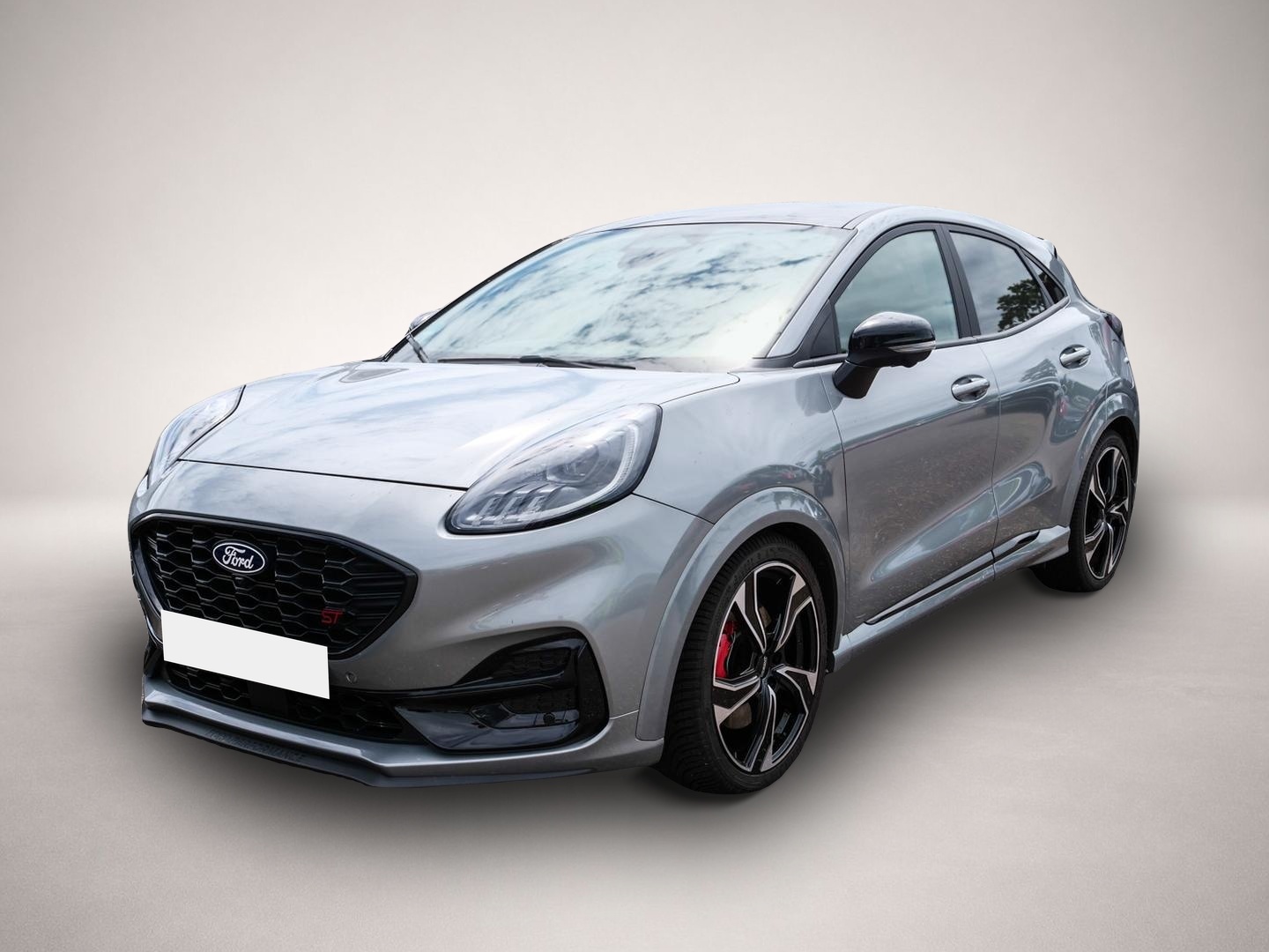 Bild Puma Ford