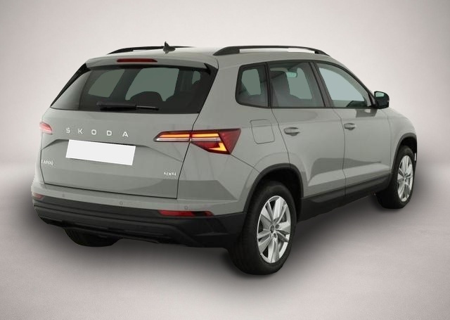 Bild 1 Skoda Karoq Selection 4x4 Karoq 2.0 TDI DSG 4x4 Selection, .