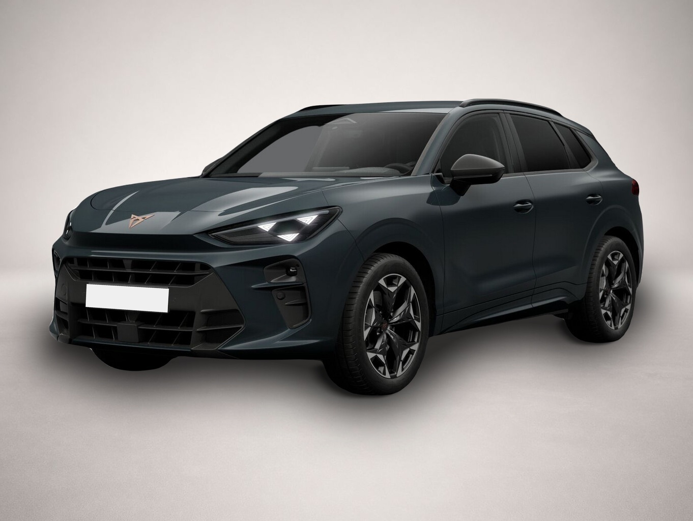 Bild 1 Cupra Terramar VZ 4D eHk Kam SHZ ACC 3ZClim 19