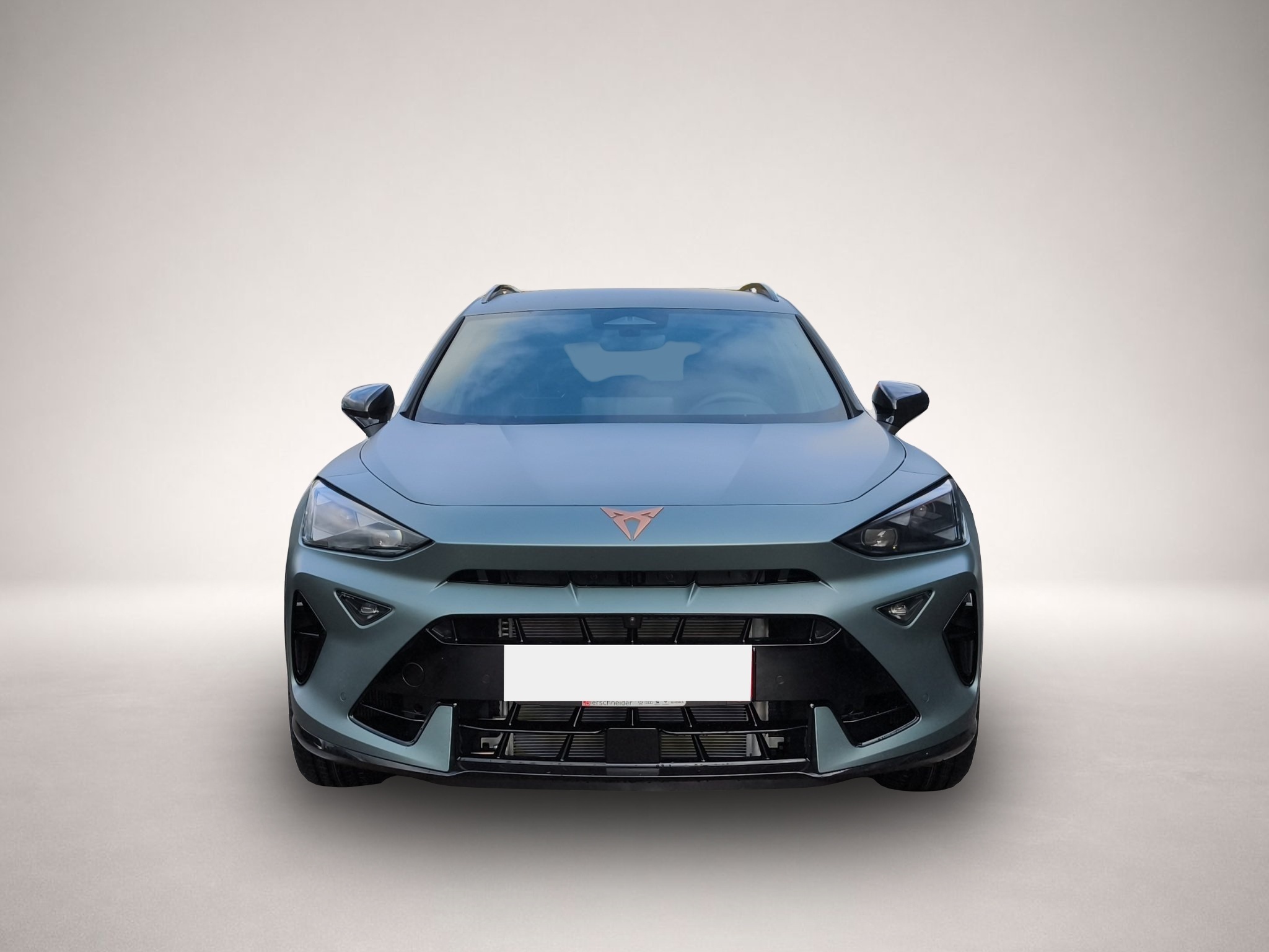 Bild 2 Cupra Formentor 2.0 TSI DSG 4Drive VZ MATT + AHK + SEN