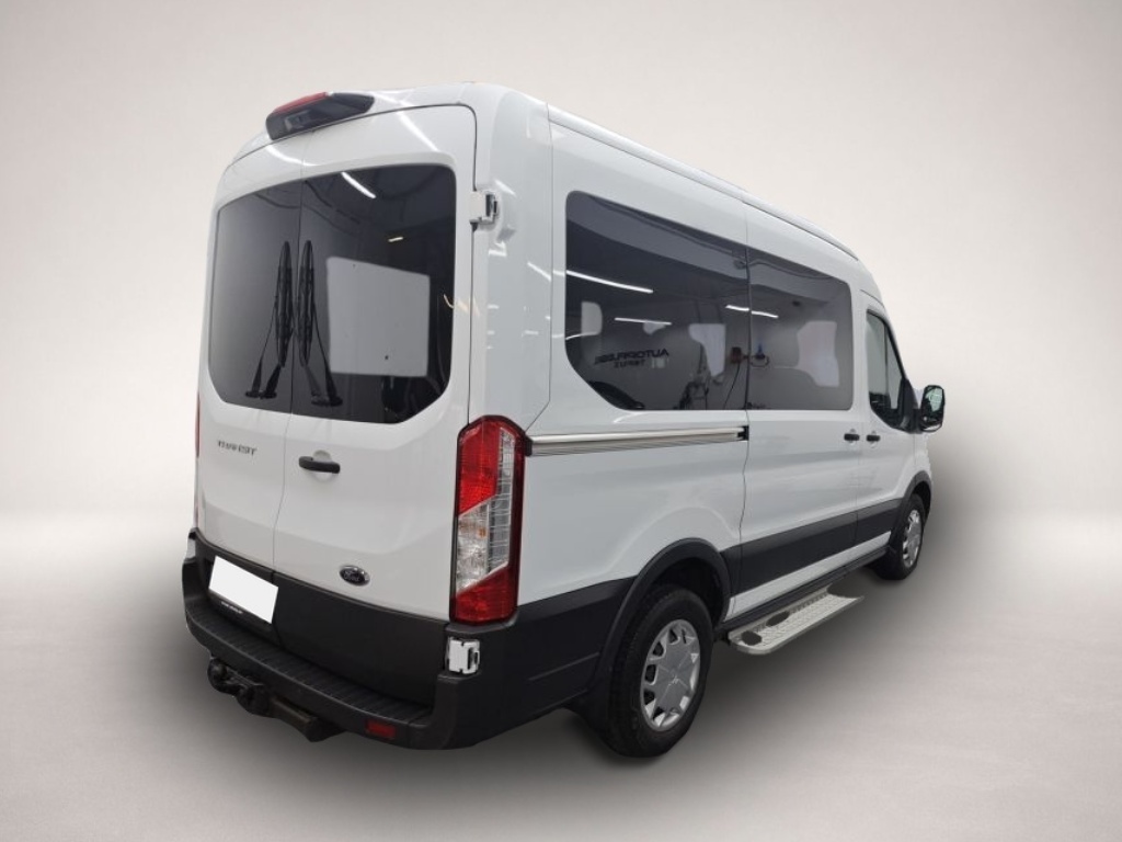 Bild 2 Ford Transit 350 L2H2 Trend AHK NAVI RFK Trittbrett